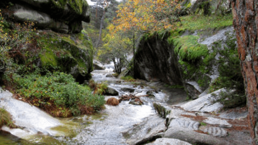 Rutas de naturaleza para grupos