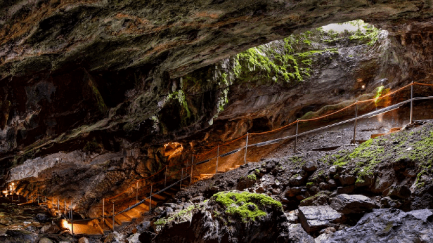 Rutas de naturaleza para grupos