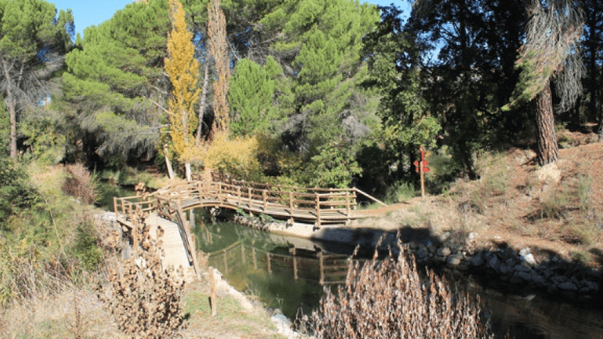 Rutas de naturaleza para grupos