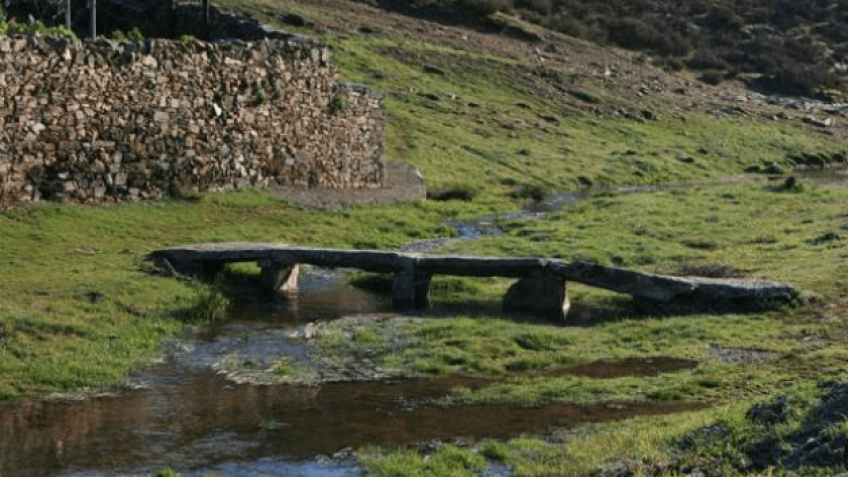 Rutas de naturaleza para grupos